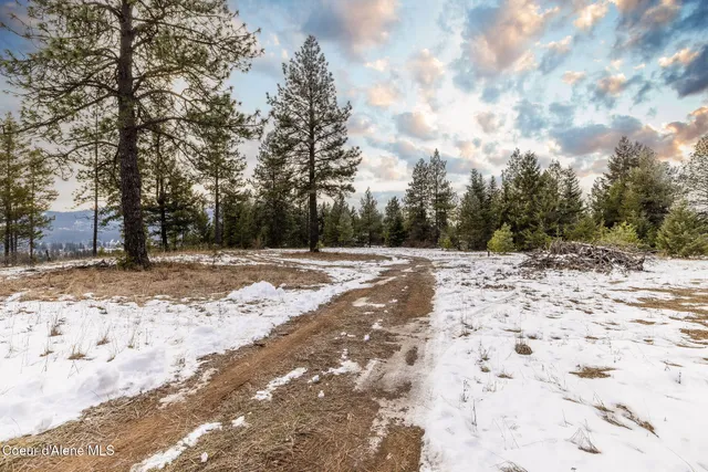 $375,000 | Lot 41 Highway 57 Priest River, Priest River, ID 83856