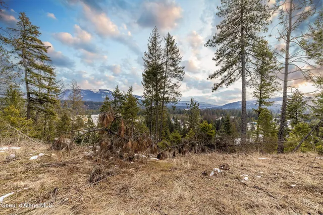 $375,000 | Lot 41 Highway 57 Priest River, Priest River, ID 83856