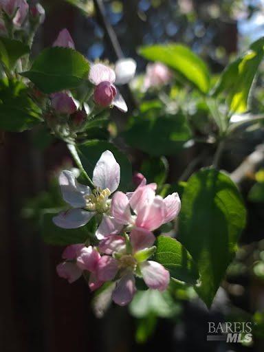 Undisclosed Address Rohnert Park, CA 94928 - Photo 35 of 41