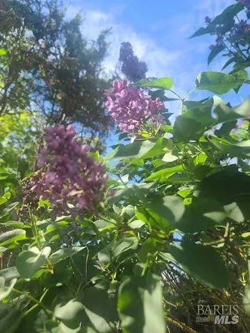 a view of a outdoor space with trees in the background