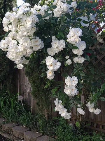 $749,500 | Undisclosed Address, Rohnert Park, CA 94928