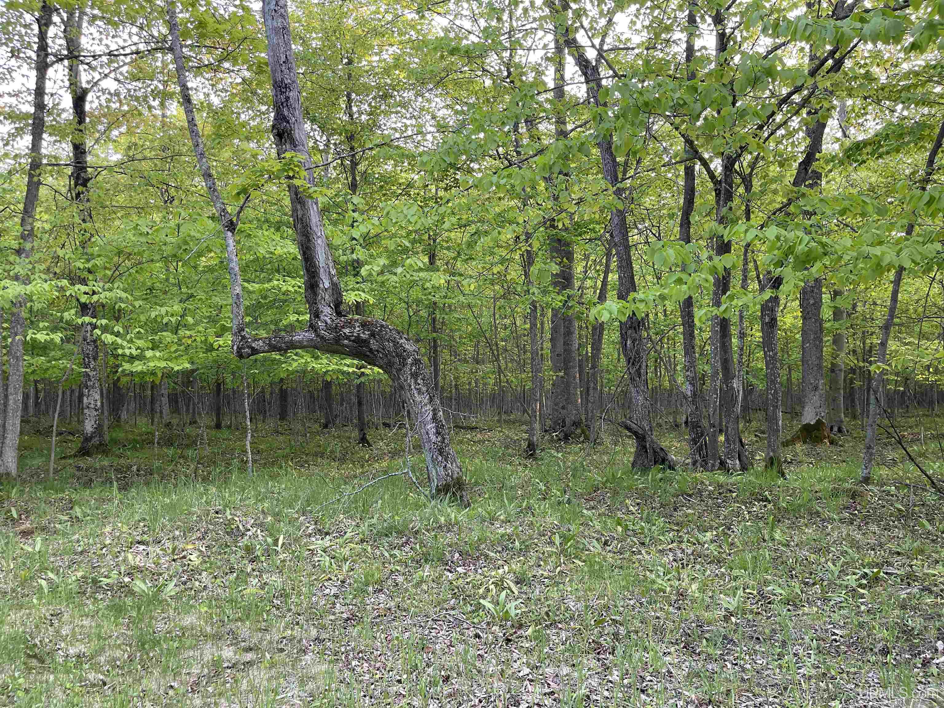 9.5 9.5 Road Gladstone, MI 49837 - Photo 4 of 61