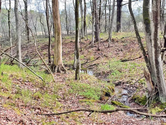 $350,000 | Tbd Tbd Coastal Pines, Cumberland Center, ME 04021