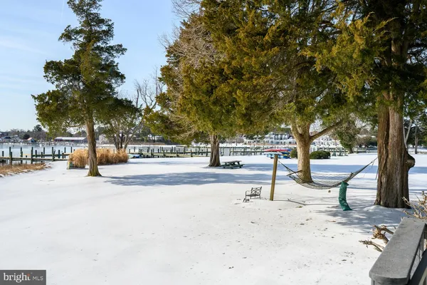 a park view with large trees