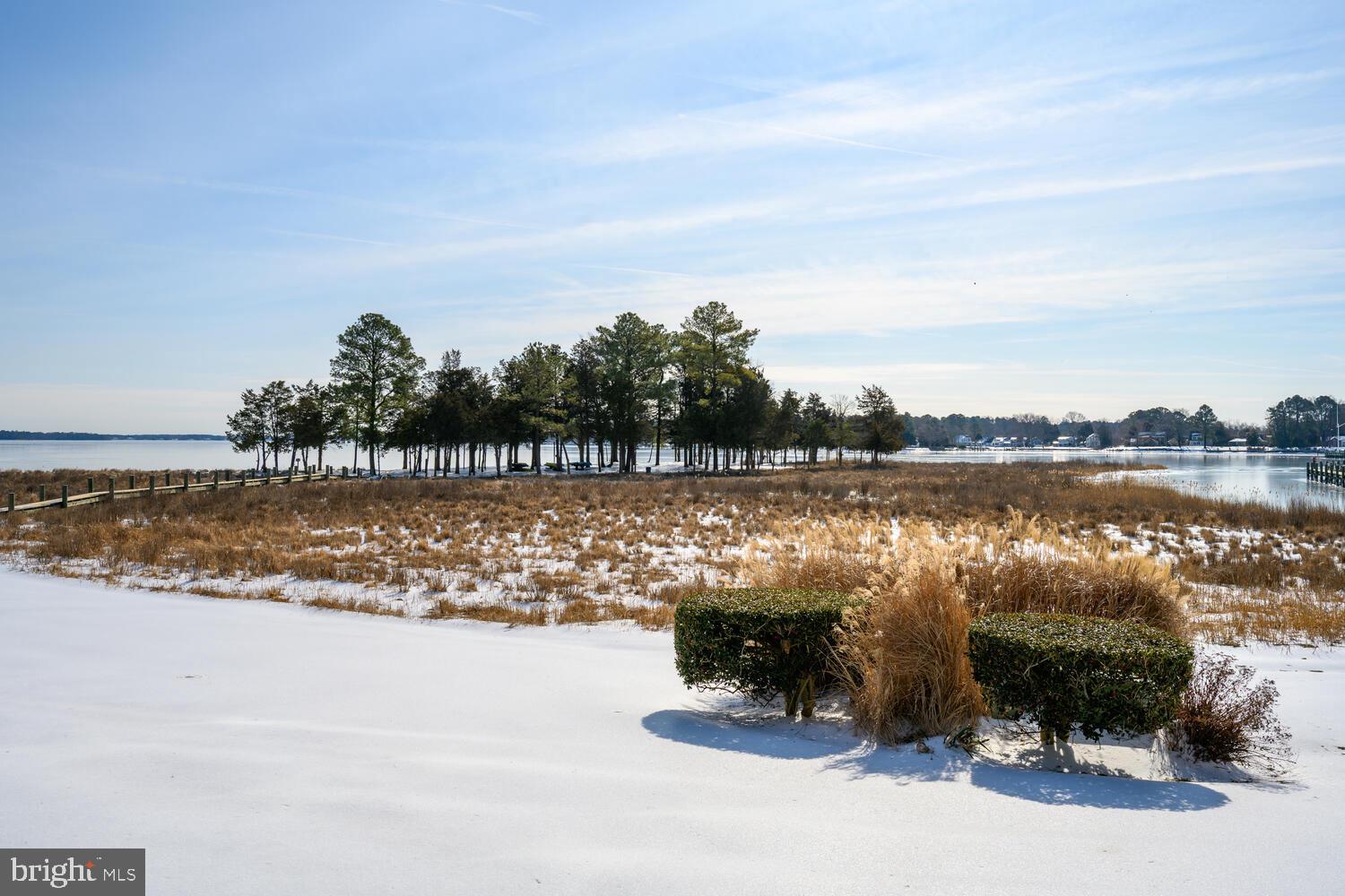 320 Perry Cabin Drive St. Michaels, MD 21663 - Photo 34 of 50 a lake view with boat and palm trees