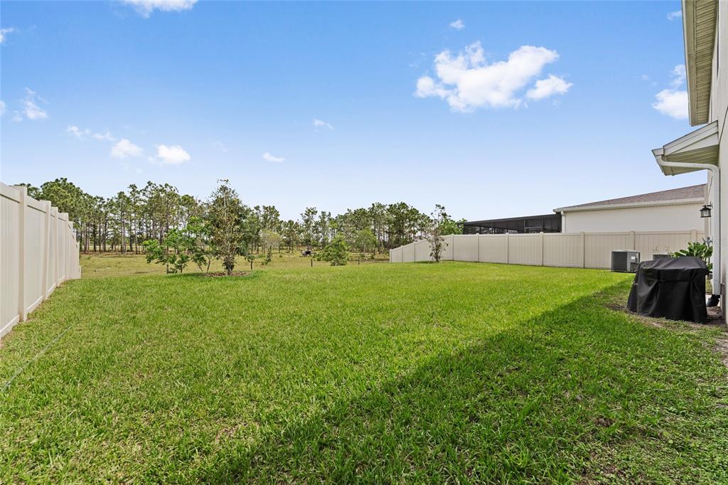 799 Hitch Loop St. Cloud, FL 34772 - Photo 29 of 42