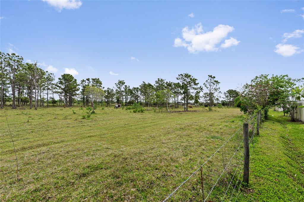 799 Hitch Loop St. Cloud, FL 34772 - Photo 31 of 42