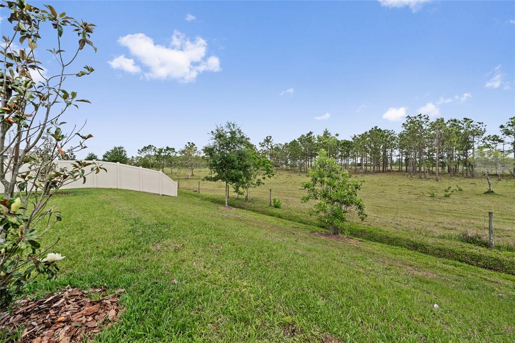 799 Hitch Loop St. Cloud, FL 34772 - Photo 32 of 42