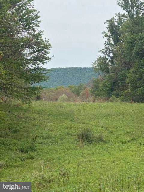 1311 Red Hill Road Dauphin, PA 17018 - Photo 1 of 10 a view of a field with an ocean