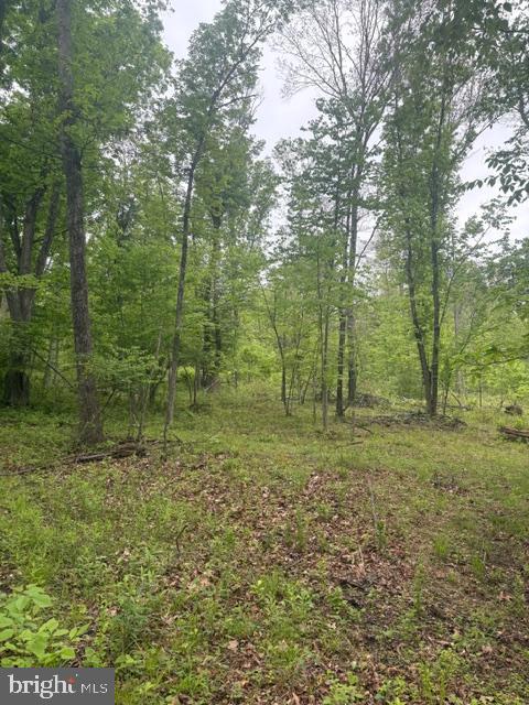 1311 Red Hill Road Dauphin, PA 17018 - Photo 2 of 10 a view of outdoor space and green space