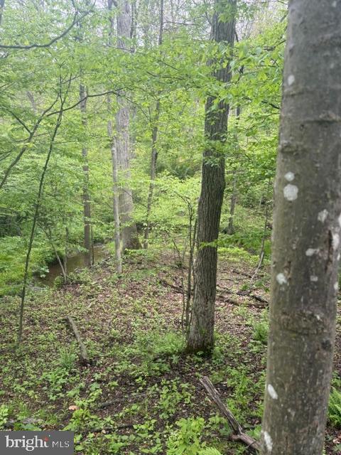 1311 Red Hill Road Dauphin, PA 17018 - Photo 5 of 10 a view of a garden