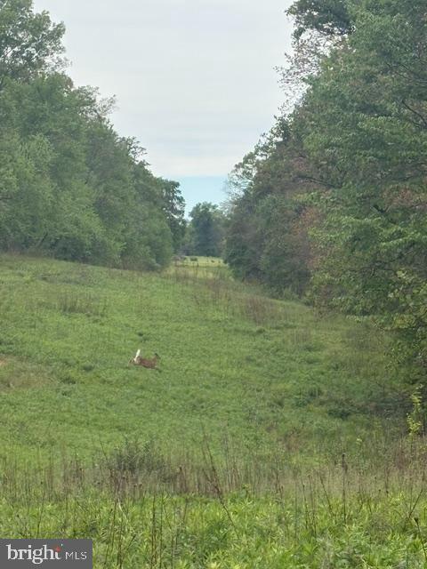 1311 Red Hill Road Dauphin, PA 17018 - Photo 6 of 10 a view of a field with an trees