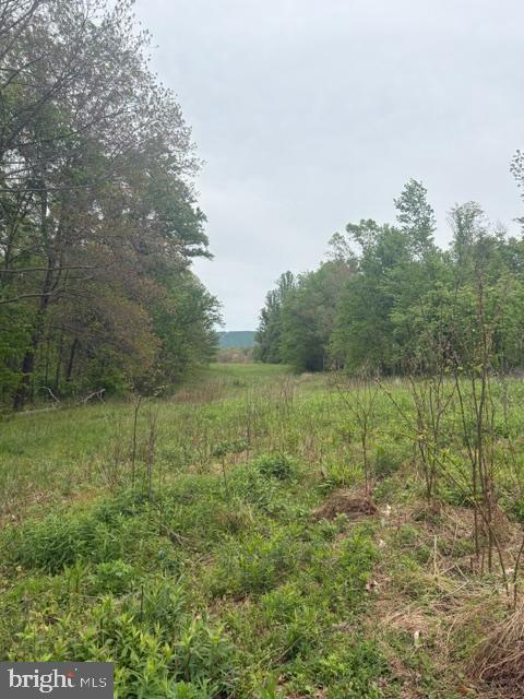 1311 Red Hill Road Dauphin, PA 17018 - Photo 9 of 10 a view of a green field with lots of bushes