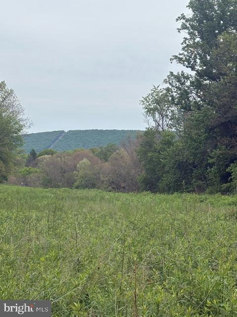 1311 Red Hill Road Dauphin, PA 17018 - Photo 10 of 10 a view of a field of grass and trees