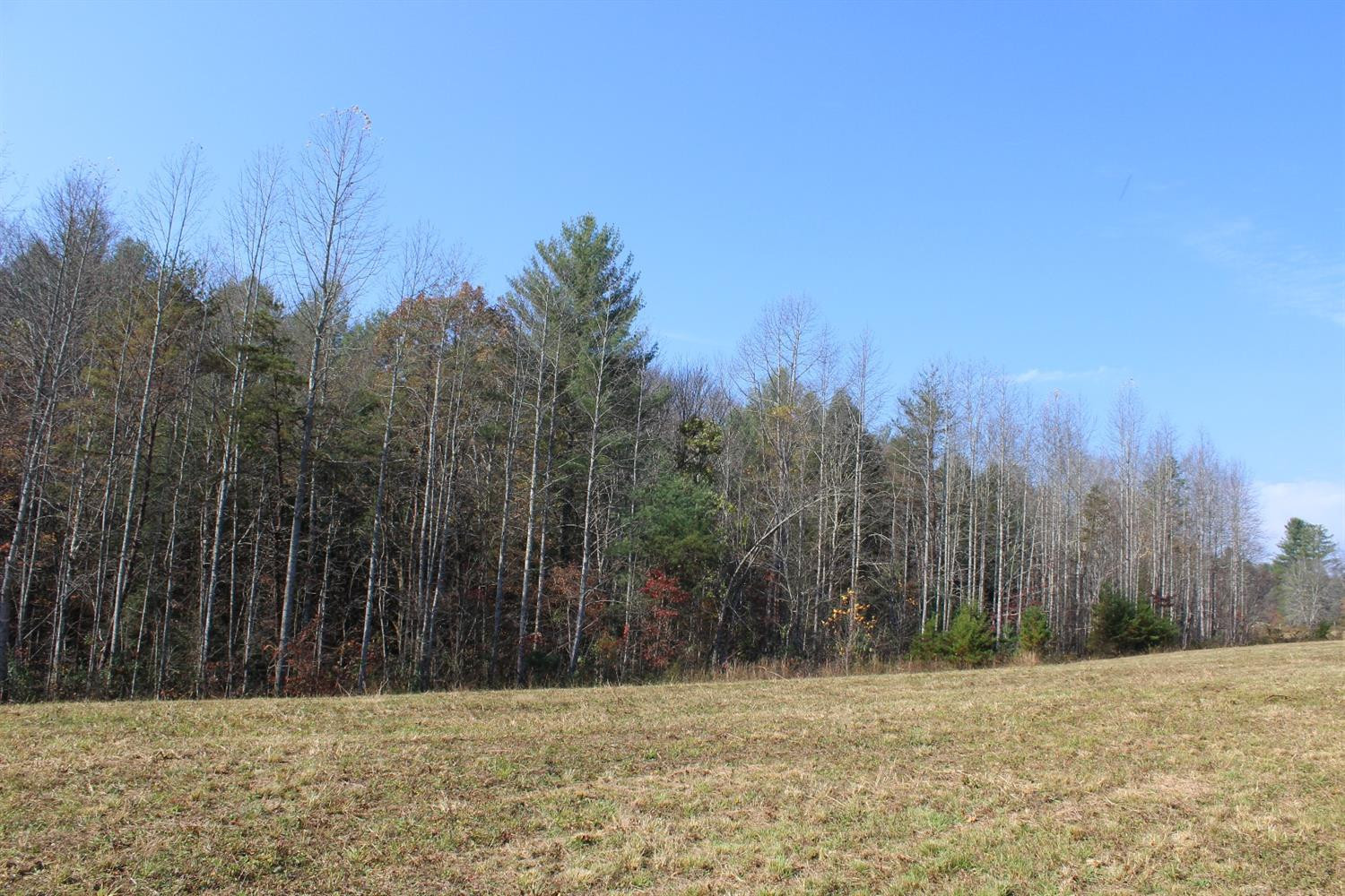 3600 Sandy Ridge Road Campton, KY 41301 - Photo 17 of 30 Photo 17