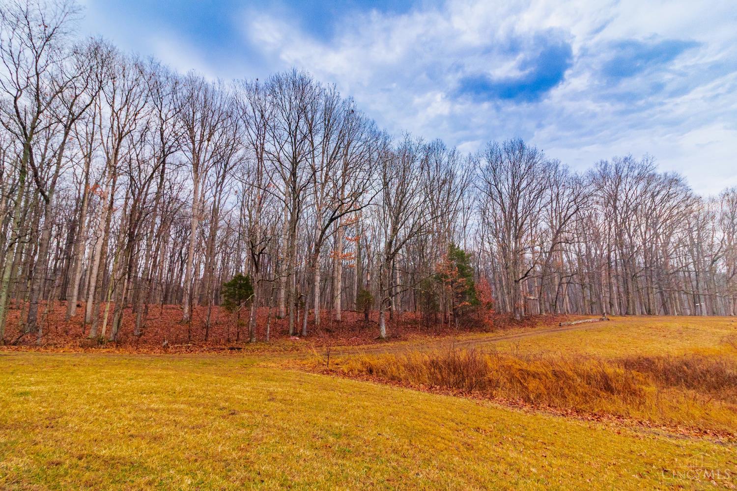 Rear Greenbrier Road Seaman, OH 45679 - Photo 27 of 27