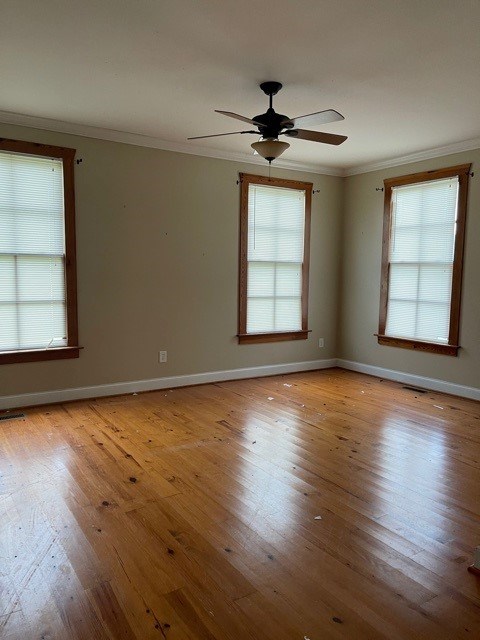 191 George Smith Road Talbotton, GA 31827 - Photo 10 of 24 Gallery Image 10