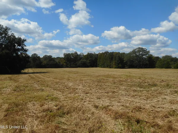 $60,000 | Myrleville Road, Yazoo City, MS 39194