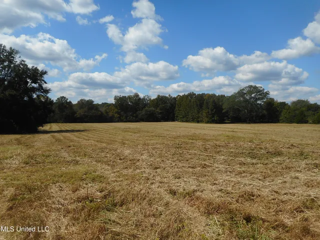 $60,000 | Myrleville Road, Yazoo City, MS 39194