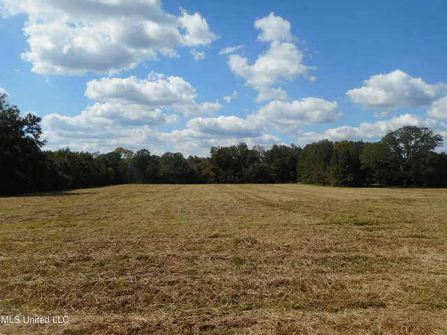 $60,000 | Myrleville Road, Yazoo City, MS 39194