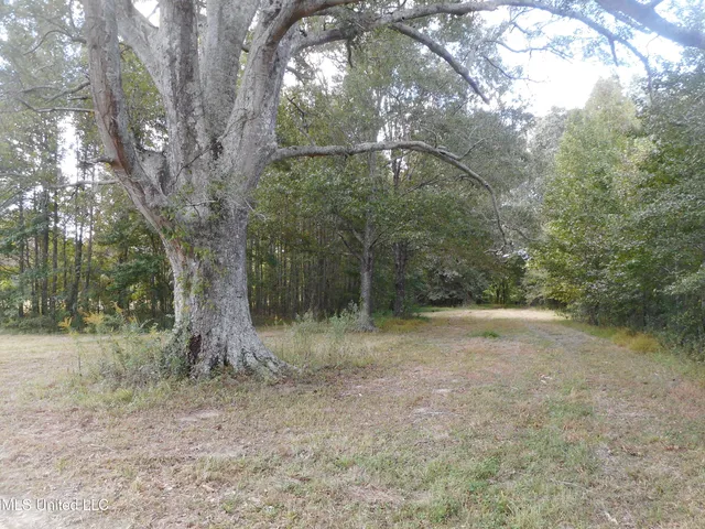 $60,000 | Myrleville Road, Yazoo City, MS 39194