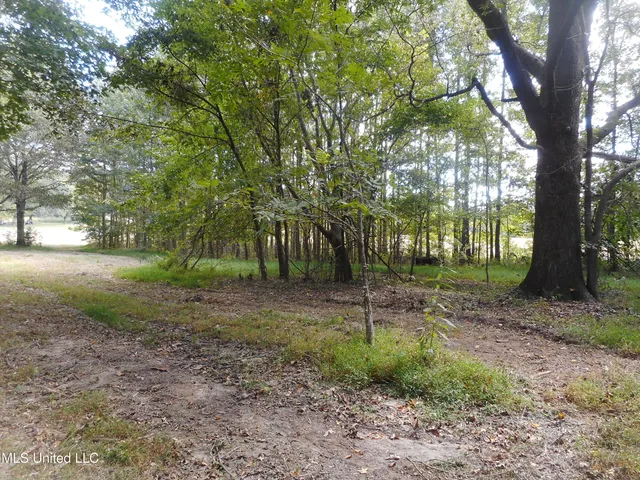 $60,000 | Myrleville Road, Yazoo City, MS 39194