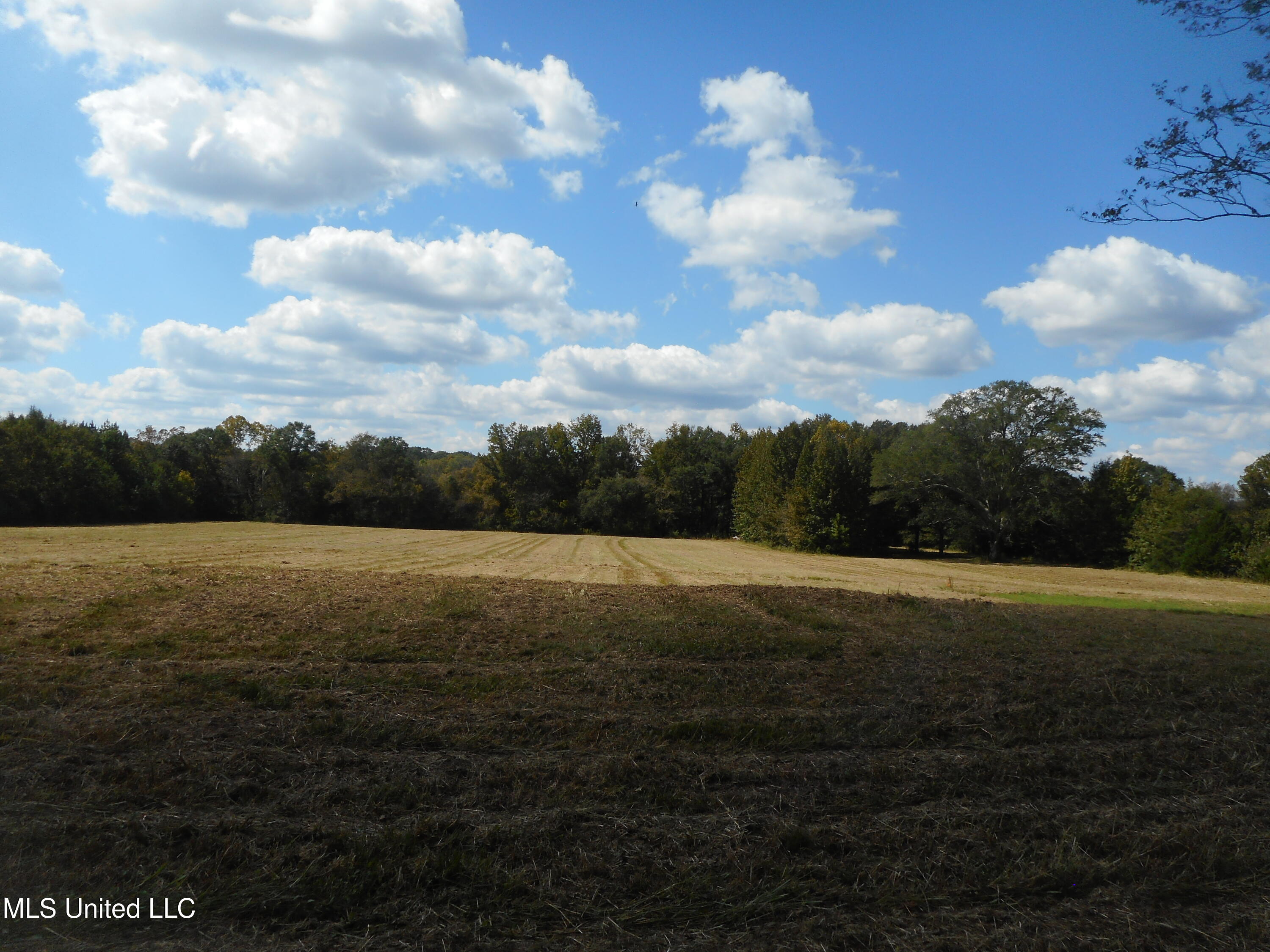 Myrleville Road Yazoo City, MS 39194 - Photo 5 of 10 DSCN1908