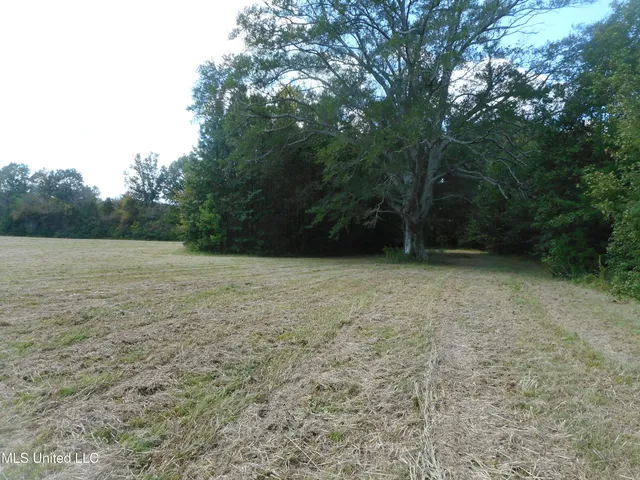 $60,000 | Myrleville Road, Yazoo City, MS 39194