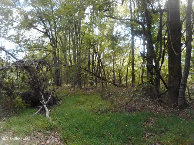 $60,000 | Myrleville Road, Yazoo City, MS 39194