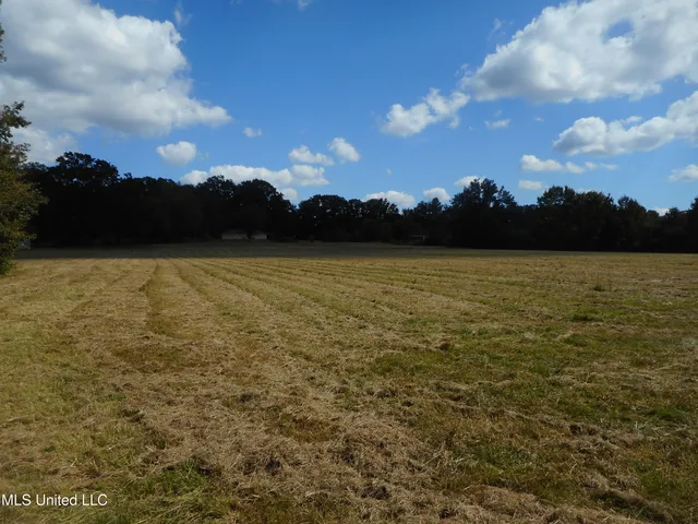 $60,000 | Myrleville Road, Yazoo City, MS 39194