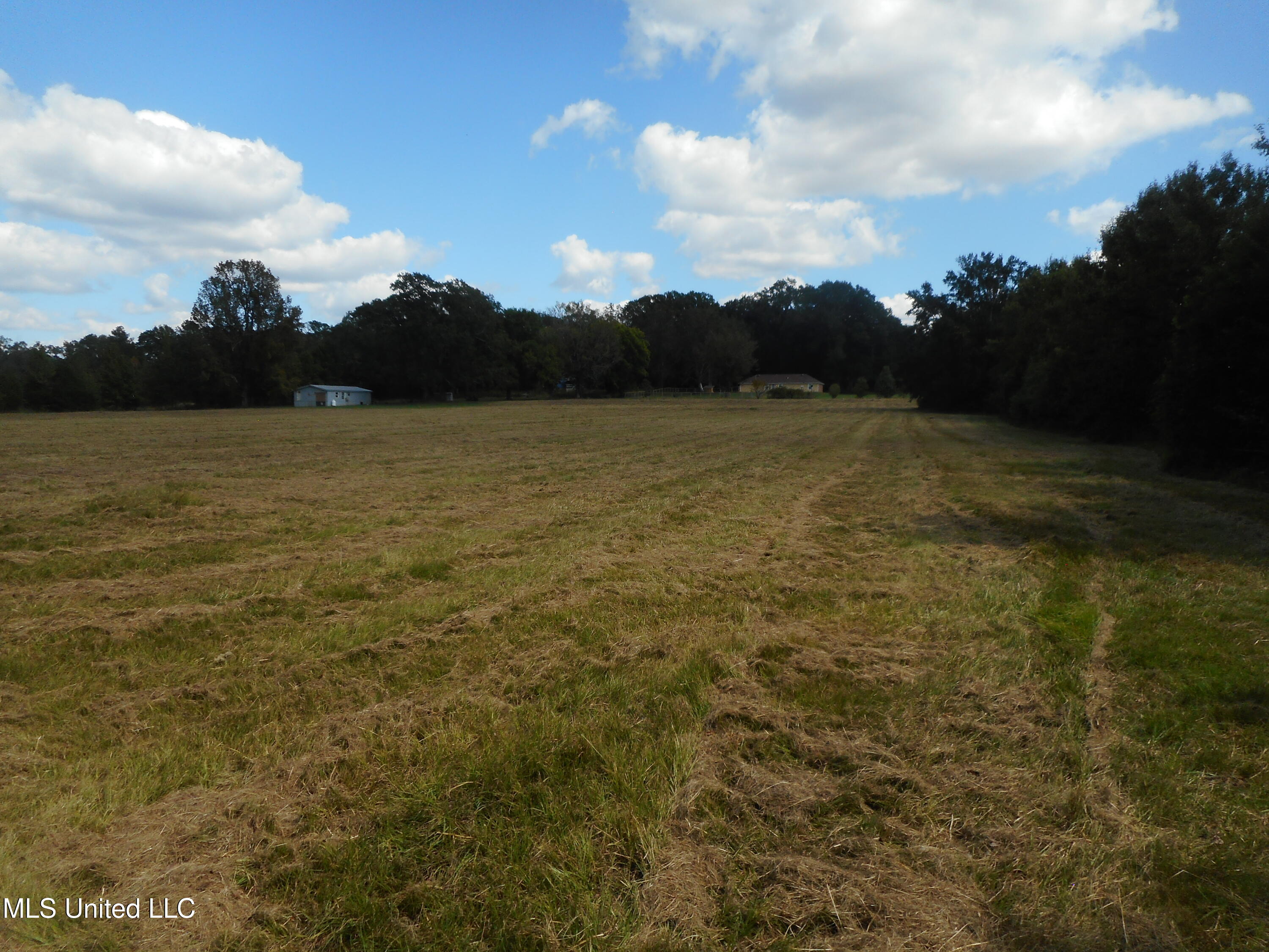 Myrleville Road Yazoo City, MS 39194 - Photo 10 of 10 DSCN1915