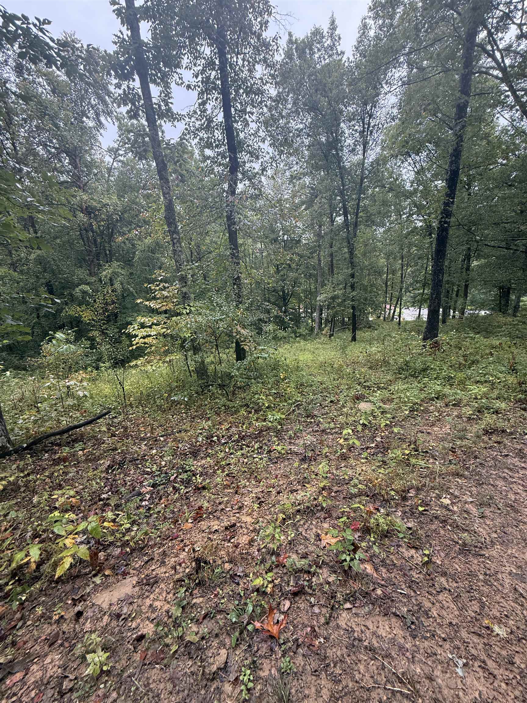 15709 Trace Road Rush, KY 41168 - Photo 8 of 29
