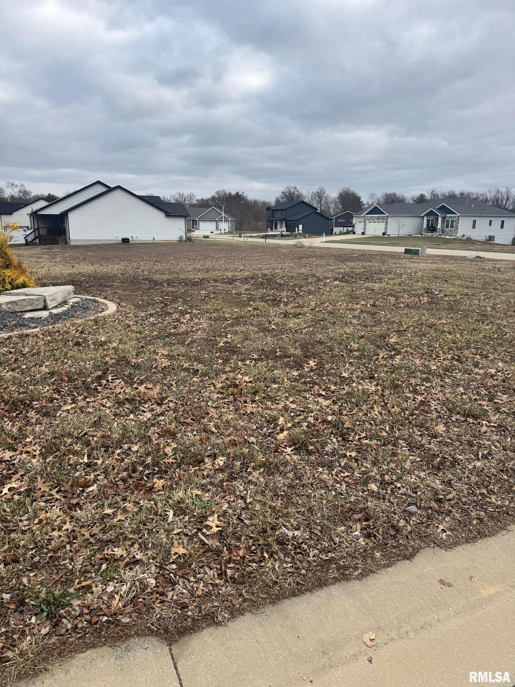 71 Firefly Court Chatham, IL 62629 - Photo 2 of 5