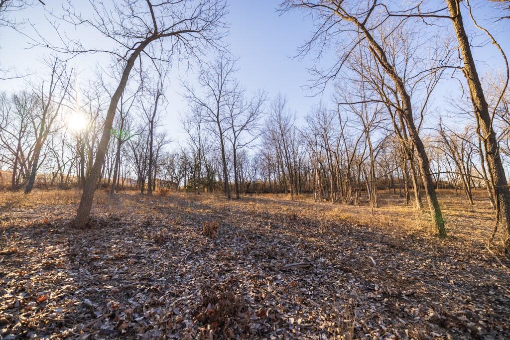 5046 Raytown Road Kansas City, MO 64133 - Photo 21 of 28