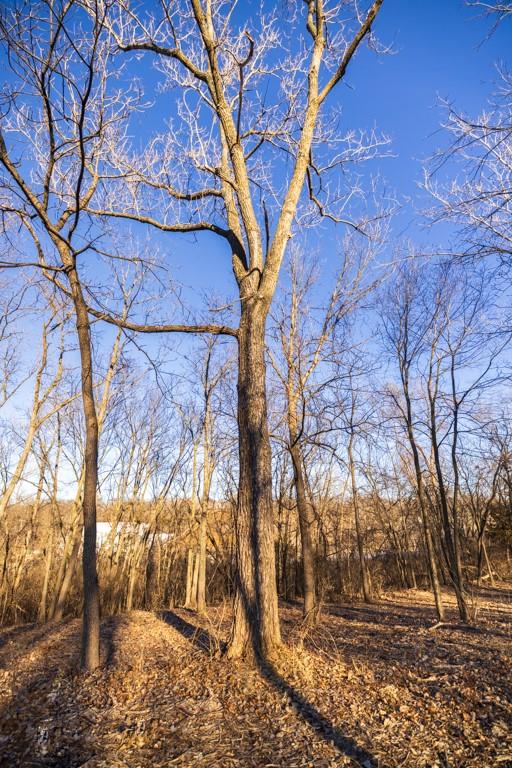 5046 Raytown Road Kansas City, MO 64133 - Photo 24 of 28