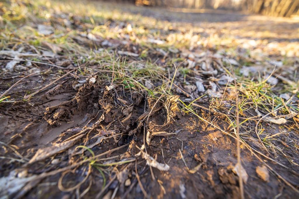 5046 Raytown Road Kansas City, MO 64133 - Photo 25 of 28