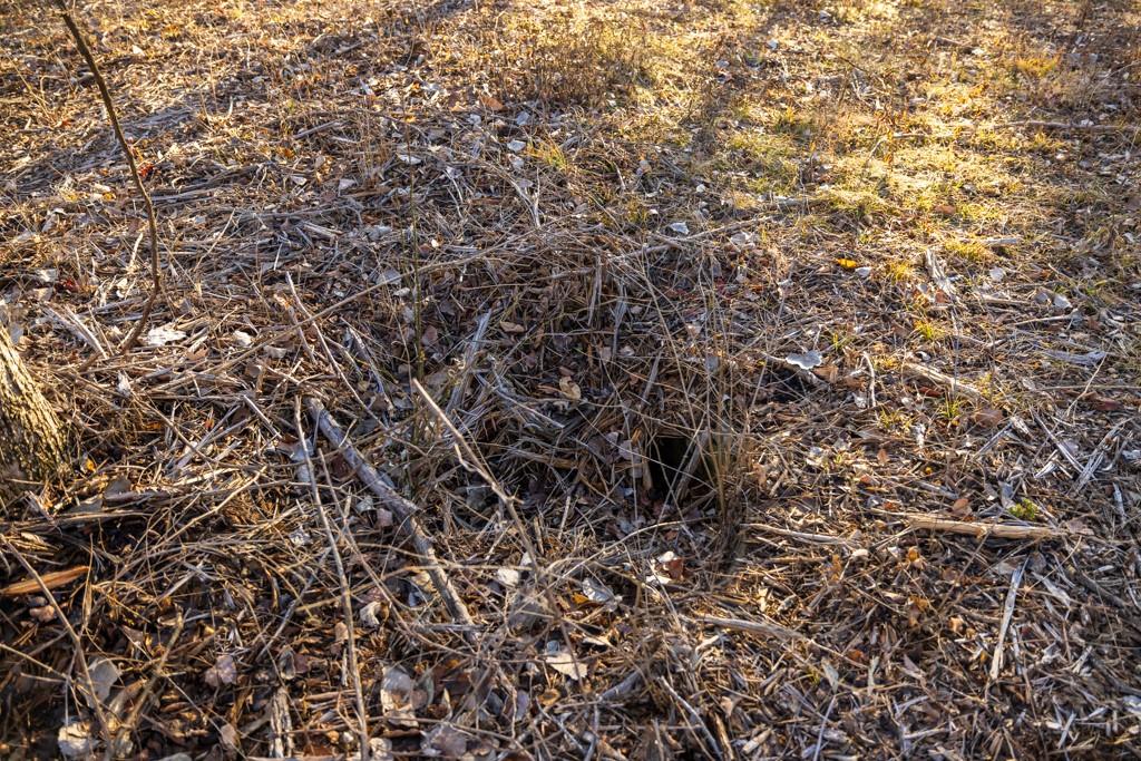 5046 Raytown Road Kansas City, MO 64133 - Photo 26 of 28