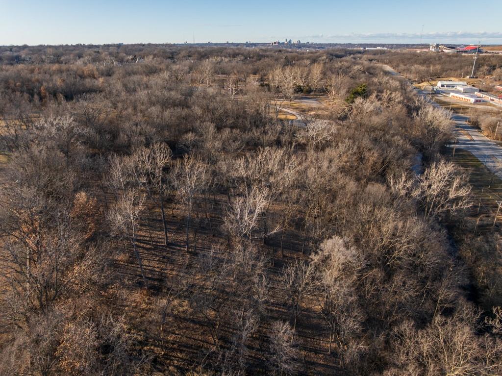 5046 Raytown Road Kansas City, MO 64133 - Photo 9 of 28