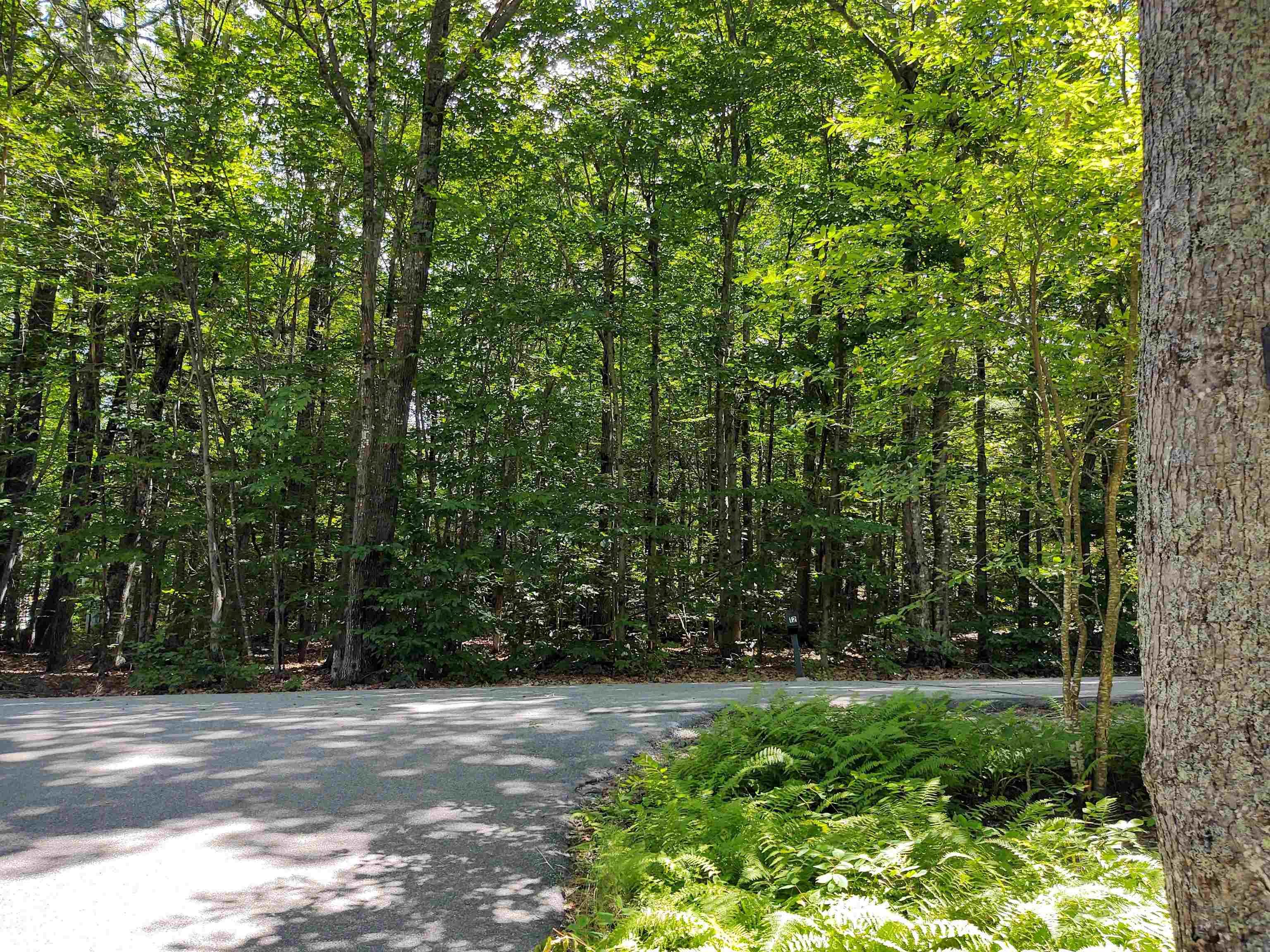 12 Ethan Allen Road Tuftonboro, NH 03816 - Photo 25 of 40