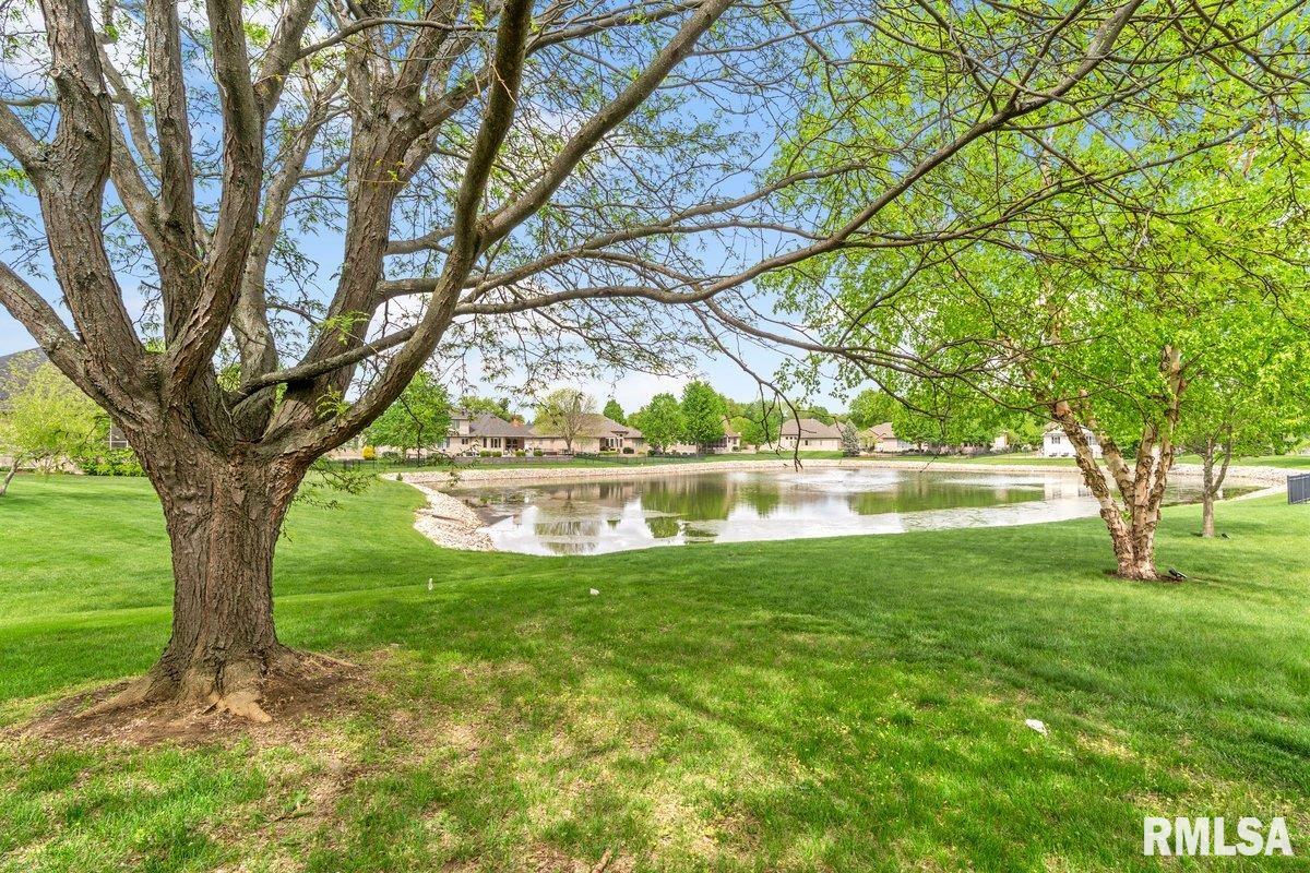 2317 Argonne Avenue Springfield, IL 62704 - Photo 43 of 52