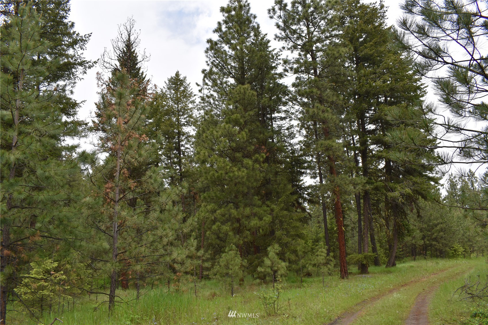 6-lot Turtle Run Road Tonasket, WA 98855 - Photo 23 of 40 a view of mountain with trees
