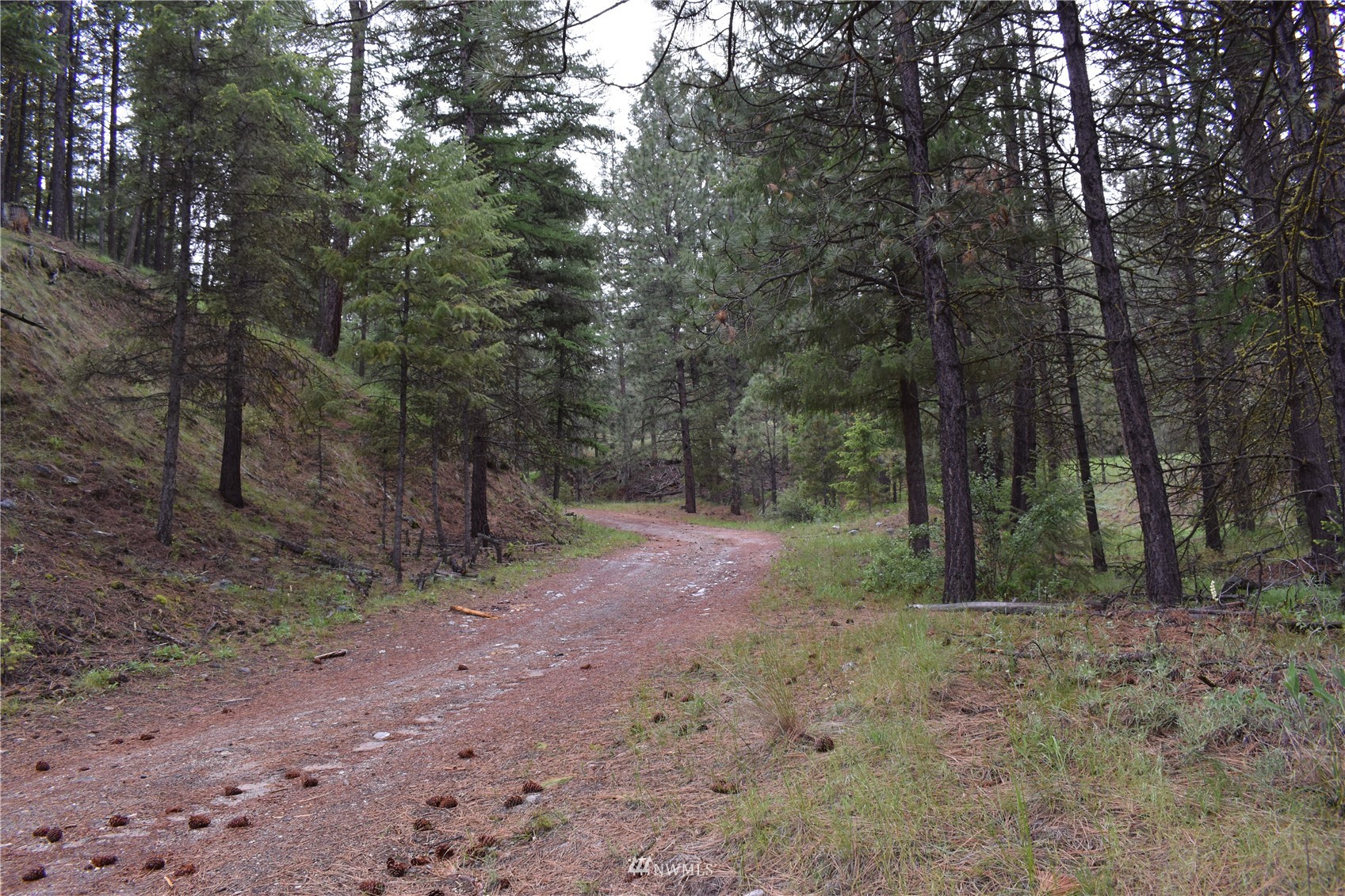 6-lot Turtle Run Road Tonasket, WA 98855 - Photo 7 of 40 a view of a forest with trees in the background