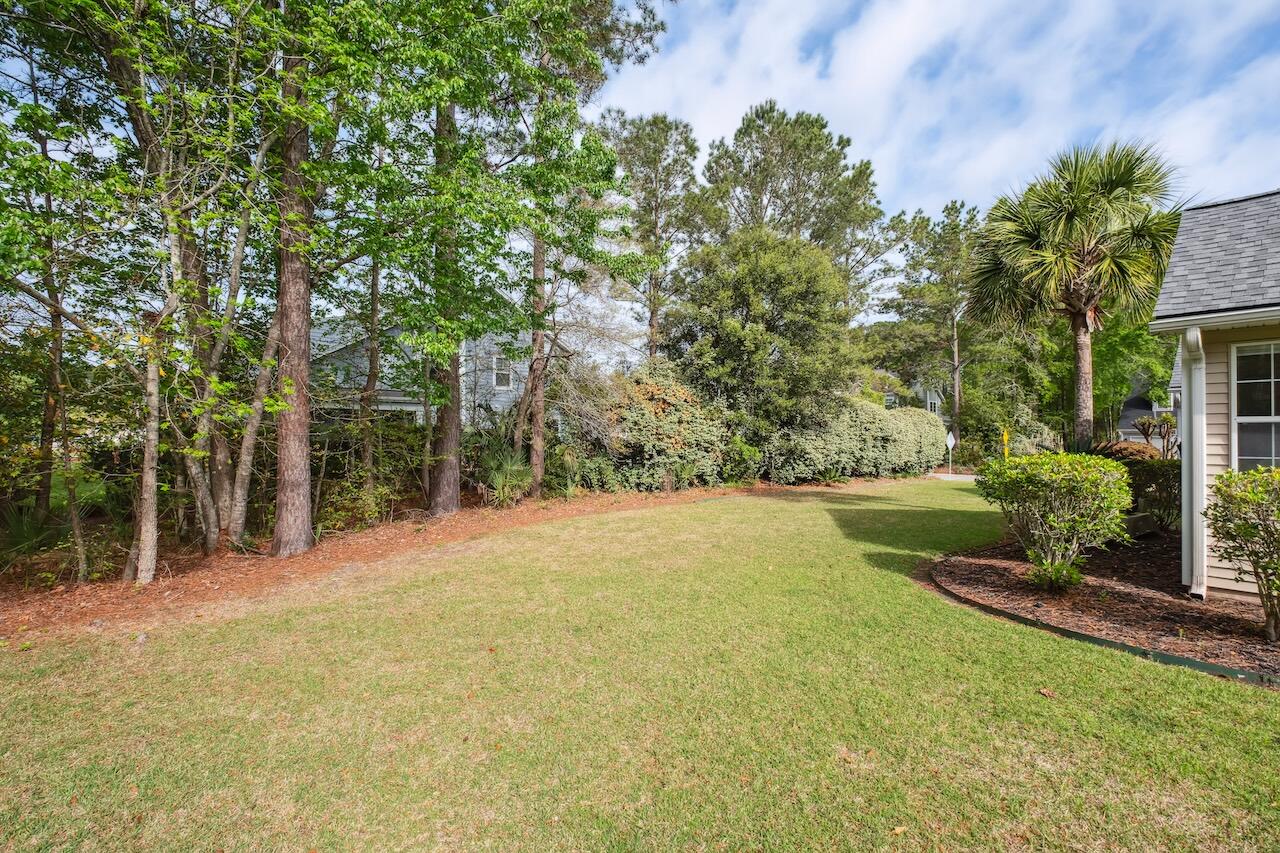 1409 Endicot Way Mount Pleasant, SC 29466 - Photo 14 of 32 Private Backyard