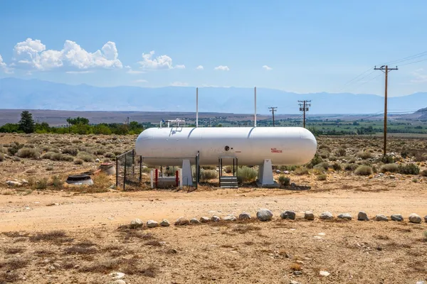 a view of a house with a tree and plants