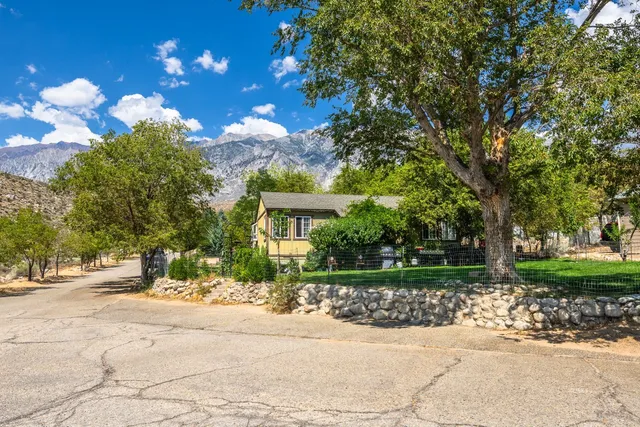 a view of a house with a tree in front of it