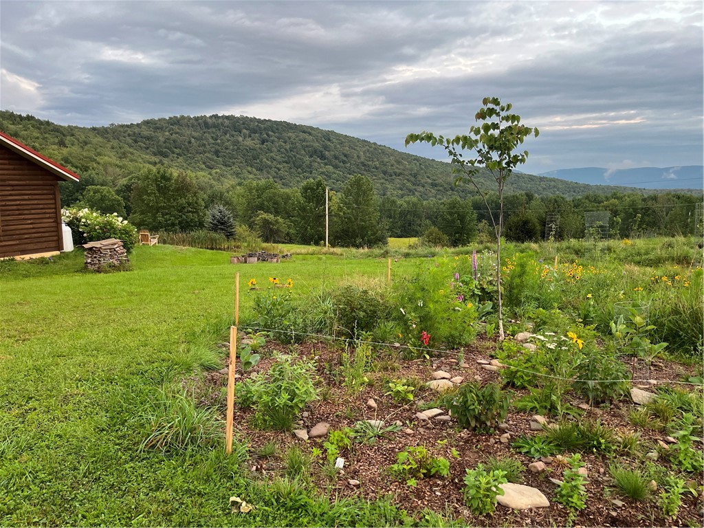 2133 Close Hollow Road Andes, NY 13731 - Photo 29 of 36