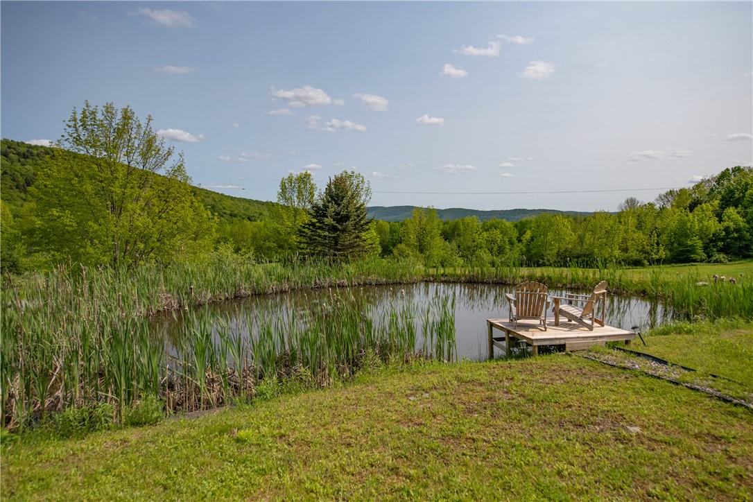 2133 Close Hollow Road Andes, NY 13731 - Photo 4 of 36