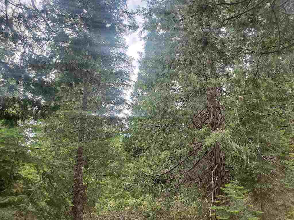 3-i-2 Red Fir Road McCloud, CA 96057 - Photo 17 of 18 Gallery Image 17