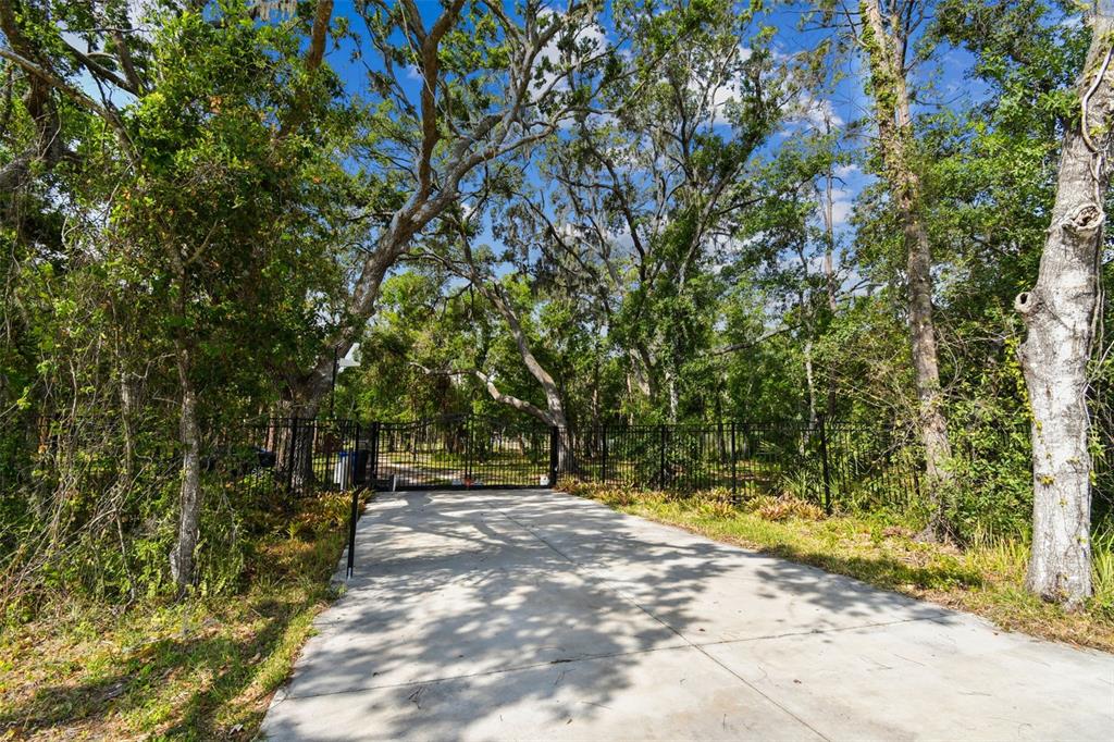 2853 Saffold Road Wimauma, FL 33598 - Photo 21 of 62 a view of outdoor space with trees