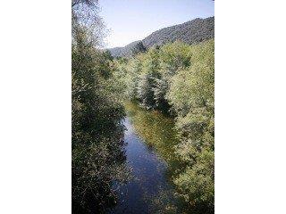 65 East Garzas Road Carmel Valley, CA 93924 - Photo 3 of 3